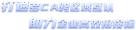 打通多CA跨區(qū)域互認(rèn)，助力企業(yè)高效招投標(biāo)